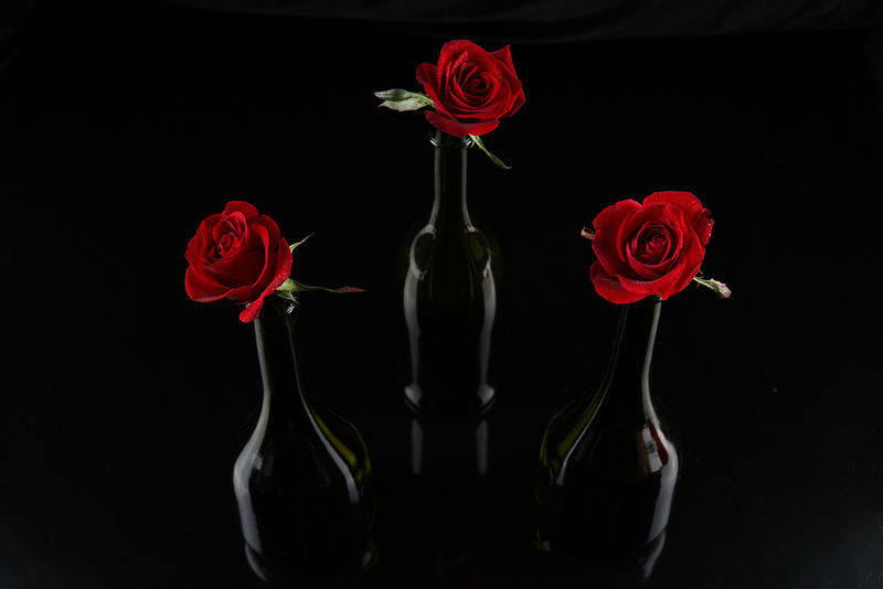 三朵红玫瑰的背景色
