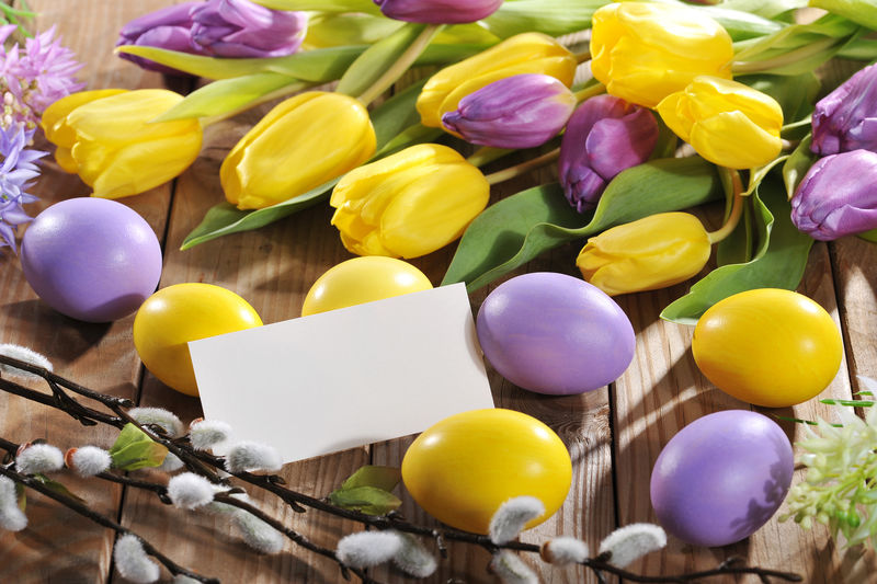 紫罗兰色和黄色复活节彩蛋配卡片郁金香和风信子