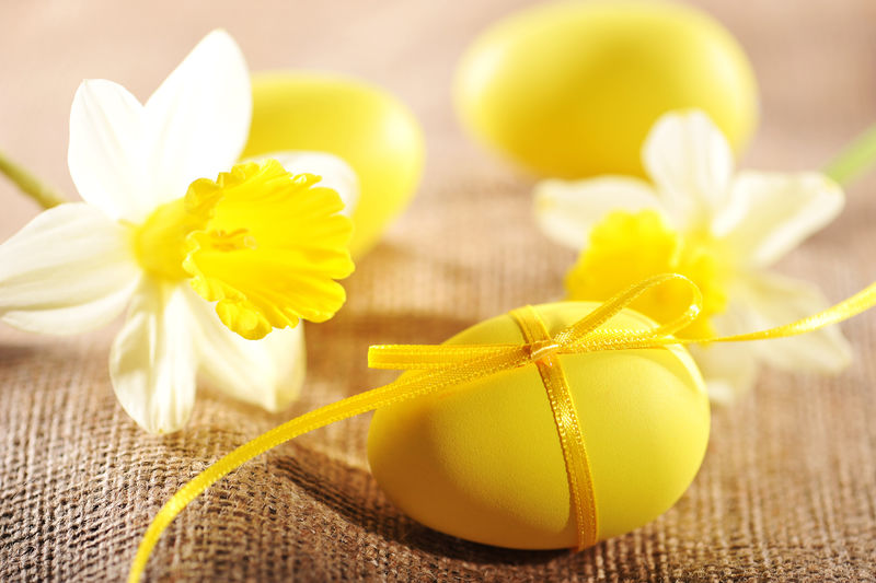 带蝴蝶结的黄色复活节彩蛋水仙麻袋