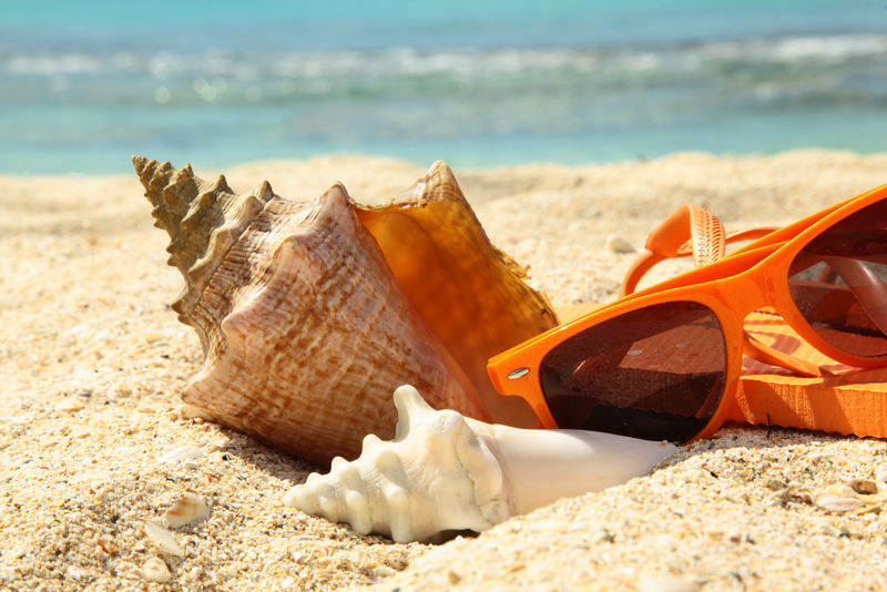 海滩上的贝壳和太阳眼镜