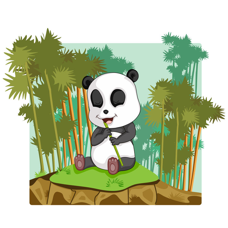 丛林森林背景下的野生熊猫
