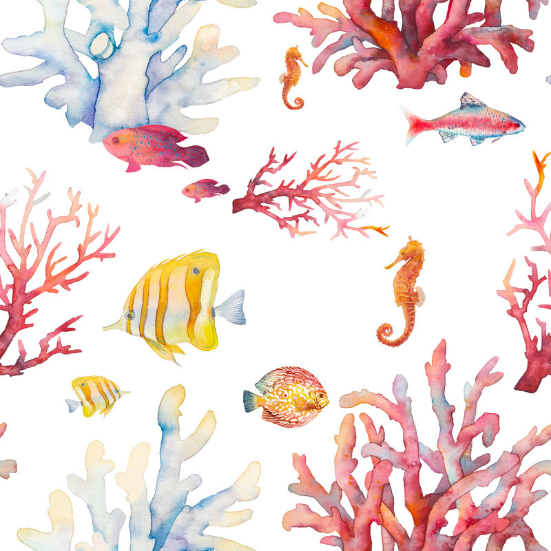 水彩珊瑚礁无缝图案。手绘写实的背景设计：热带鱼类，珊瑚，白色背景的海马。纸、织物、壁纸的自然重复纹理设计