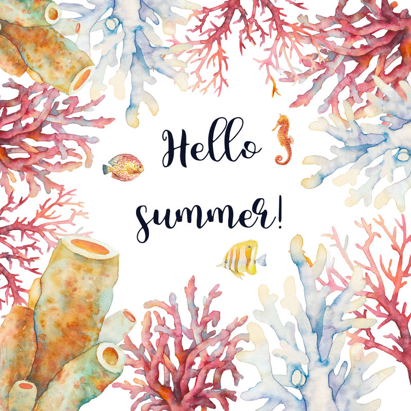 你好，夏天。水彩珊瑚和鱼类插图。手工绘制的独立卡片设计，白色背景下的水下分支。