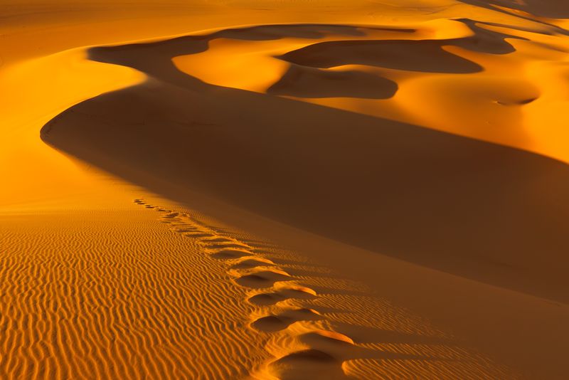日落时沙丘上的脚印-利比亚-撒哈拉-穆尔祖克沙漠