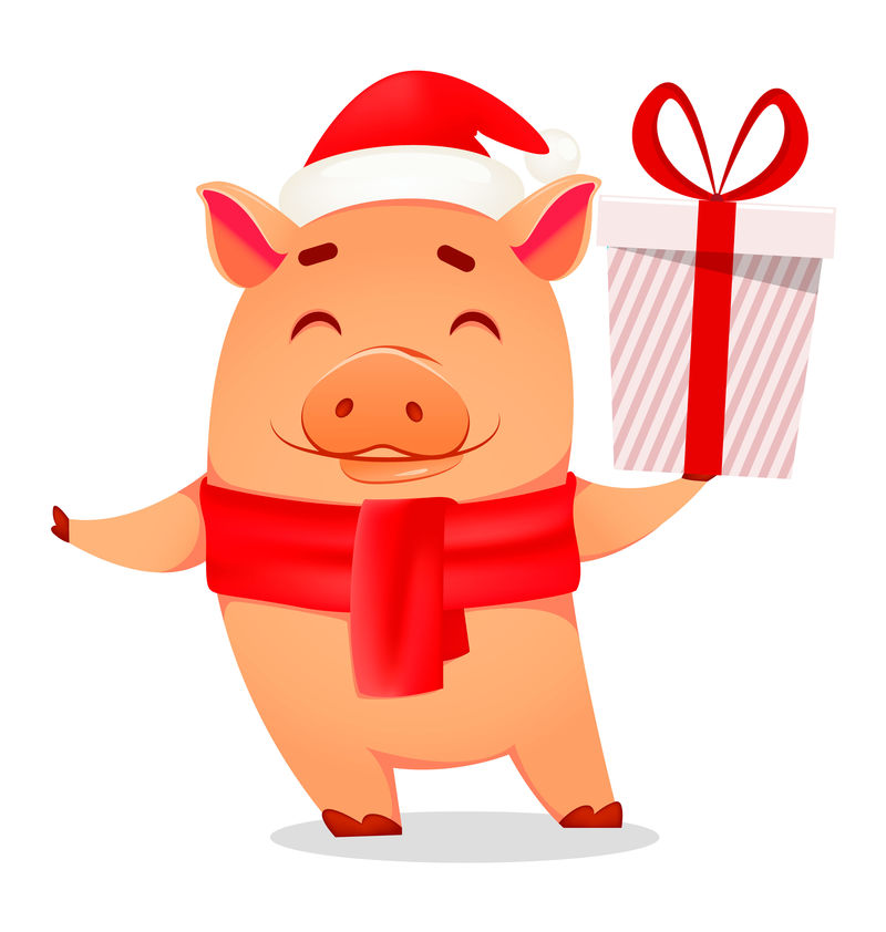 圣诞贺卡。可爱的猪