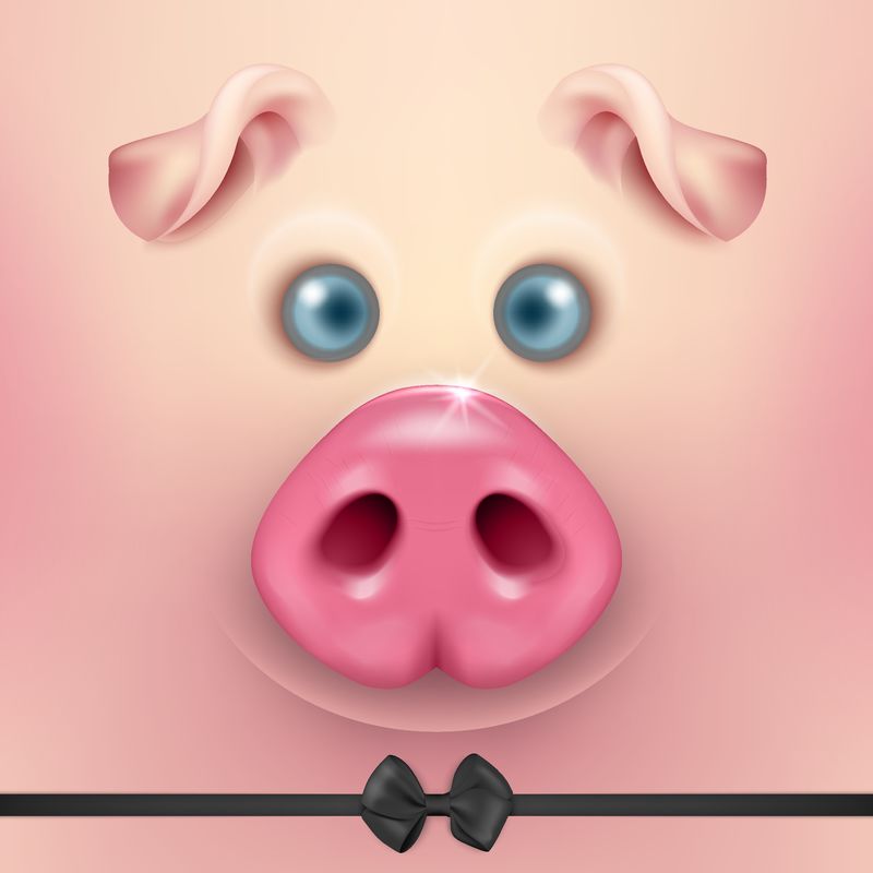 矢量背景与三维有趣的卡通猪脸与领结特写-可爱的农场动物-2019年猪年小猪头像、横幅设计模板、明信片等