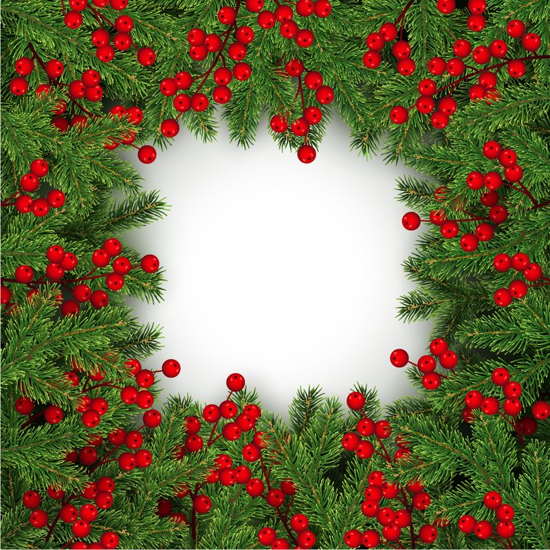圣诞和新年圣诞树和冬青浆果现实树枝的三维框架-用于节日设计-独立于白色背景矢量图