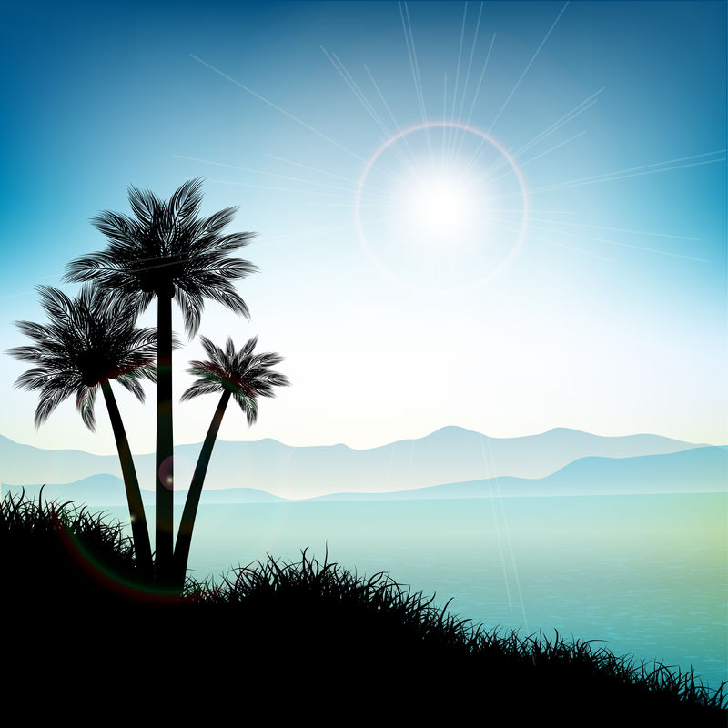 棕榈树夏季景观