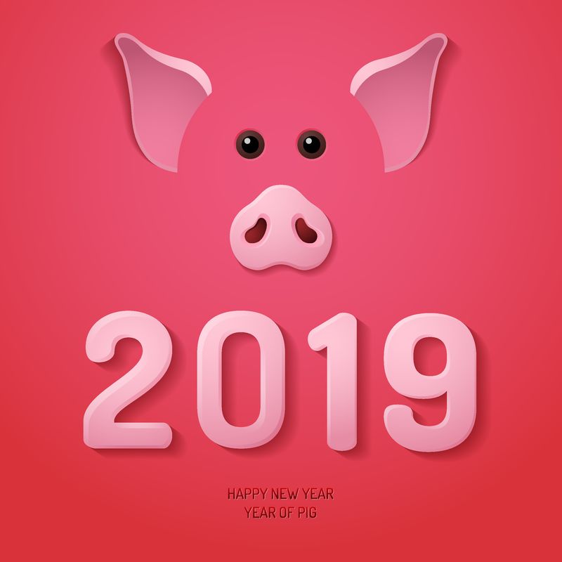 带猪鼻子的新年和圣诞节快乐海报-2019年中国新年猪-矢量图解