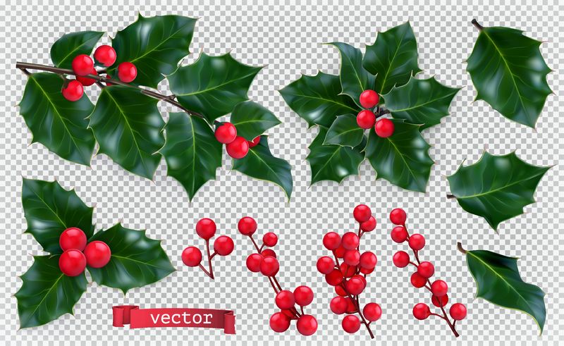 圣诞装饰品-冬青树-红色浆果-三维真实矢量图标集