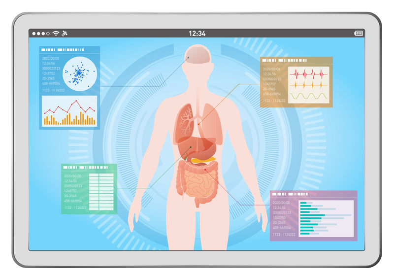 平板电脑上的医疗界面、人体和消化器官、载体图示