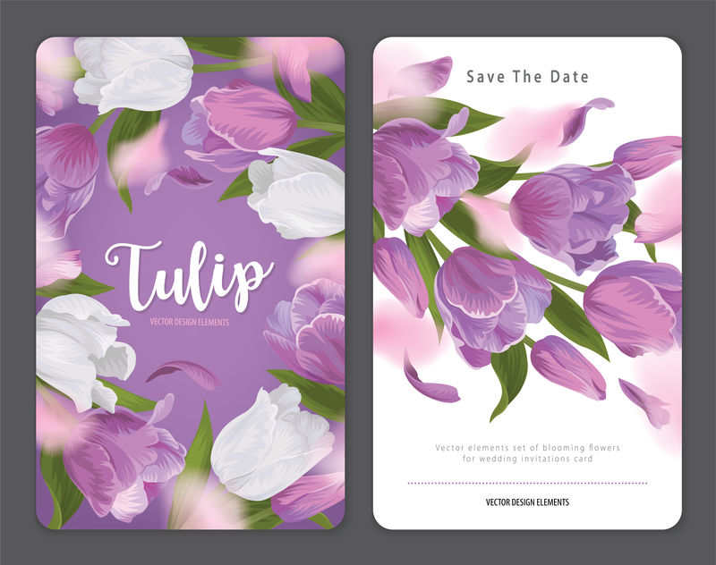 盛开美丽的紫色和白色郁金香花的背景模板-婚礼请柬、贺卡、代金券、宣传册和横幅设计用鲜花矢量集