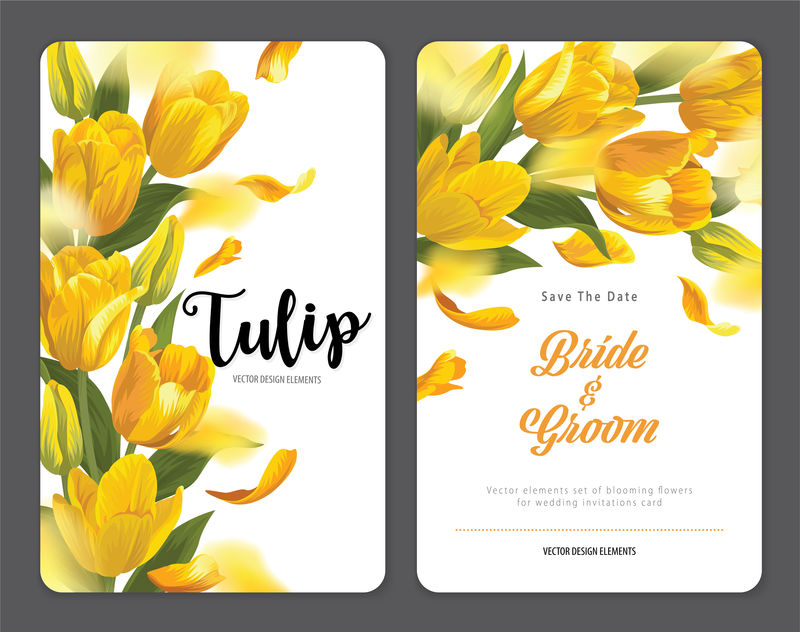 盛开美丽的黄色郁金香花的背景模板-婚礼请柬、贺卡、代金券、宣传册和横幅设计用鲜花矢量集