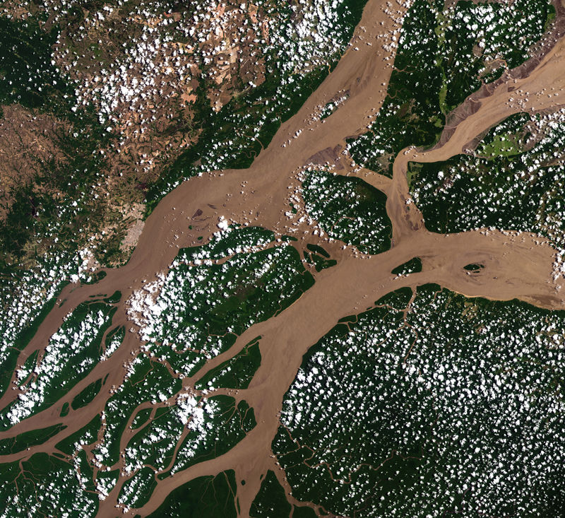 来自陆地卫星的亚马逊河。这张图片的元素由美国宇航局提供。