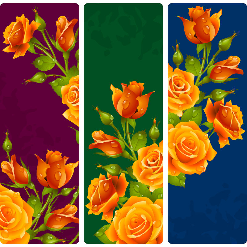 黄色玫瑰框-花卉垂直横幅矢量集