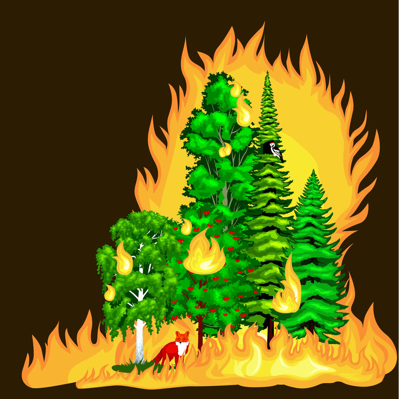 森林火灾，森林景观破坏中的火灾，自然生态灾害，火烧树木，危险森林火灾烟雾火焰，火烧木材背景矢量图。火烧树木红色和橙色