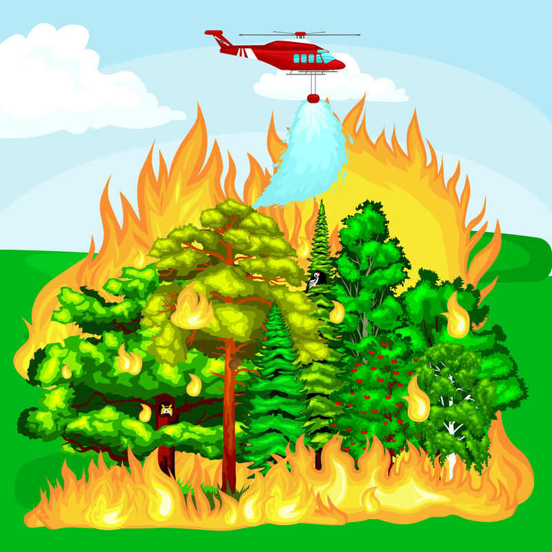 森林火灾，森林景观破坏中的火灾，自然生态灾害，火烧树木，危险森林火灾烟雾火焰，火烧木材背景矢量图。火烧树木红色和橙色