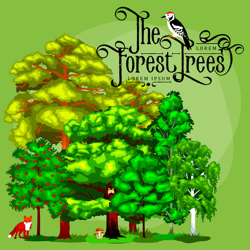 夏绿林树木和野生小动物。卡通矢量树设置在户外公园。公园里的户外树木，有树枝、树叶和树叶。野生森林动植物。