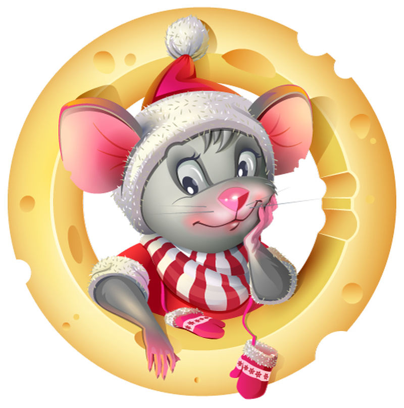 可爱的动画小老鼠-白色背景上有一片奶酪