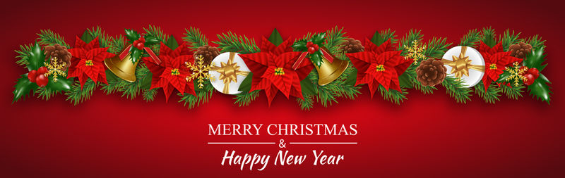 圣诞边境装饰花环与圣诞花一品红-金钟-冷杉枝-冬青浆果和礼品盒-红色背景的圣诞节和新年贺卡的设计元素-矢量