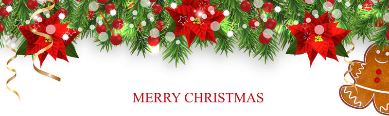 用冷杉枝、冬青浆果、一品红、姜饼饼人和金色丝带装饰圣诞边界-白色背景上圣诞节横幅的设计元素-矢量图解