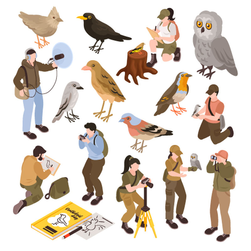 鸟类学家等距集与不同类型鸟类分离矢量图解
