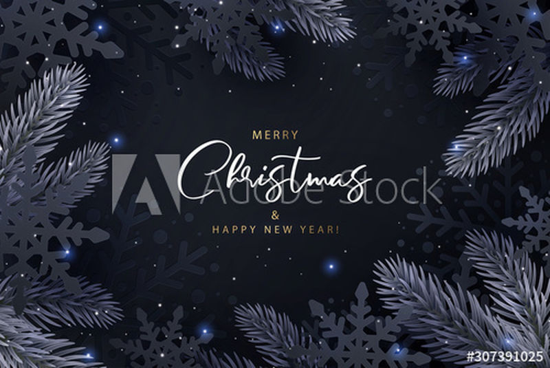 圣诞快乐-新年快乐-深色优雅的背景-闪烁的闪光-剪纸风格的黑色雪花和美丽的冷杉枝-最小的Xmas设计-矢量图示