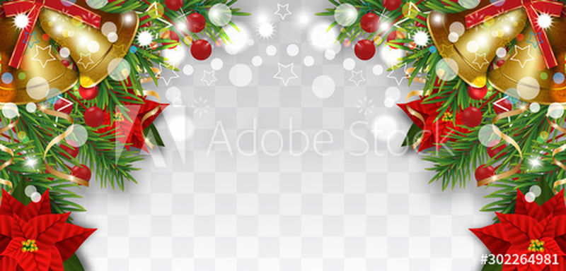 圣诞和新年用冷杉枝、金钟、圣诞花、一品红和冬青浆果装饰-透明背景下的圣诞贺卡设计元素-矢量