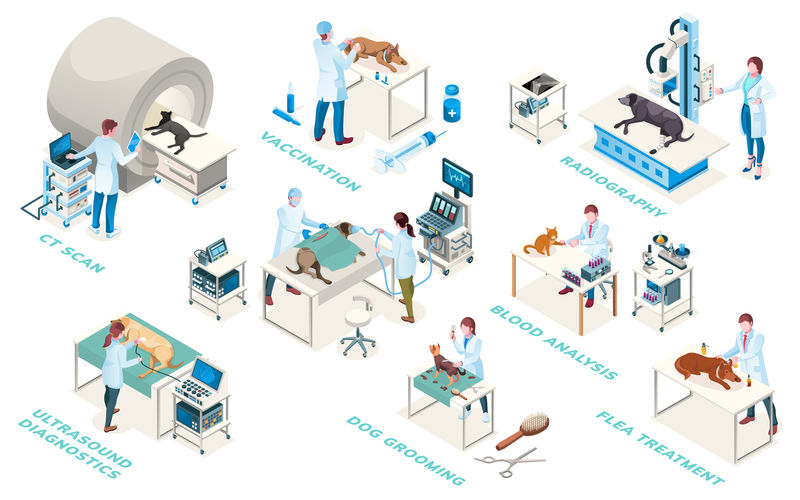 兽医诊所医生-诊断和治疗服务-矢量等距图标-兽医外科、医学检查超声、血液分析、放射照相和疫苗接种