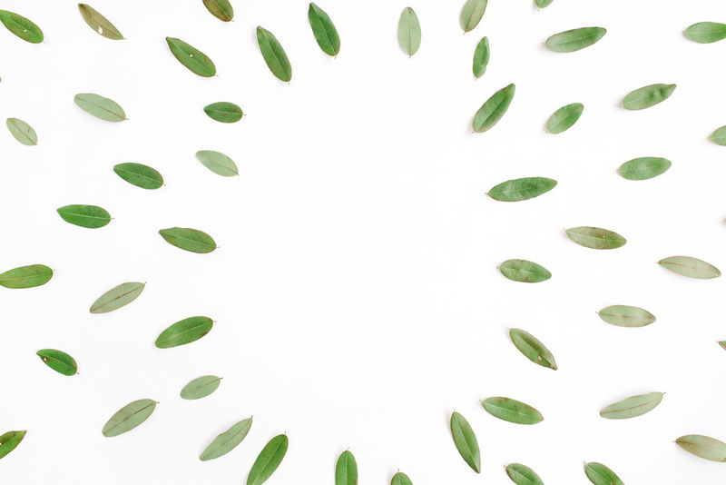 白色烤盘上的绿色花瓣框架