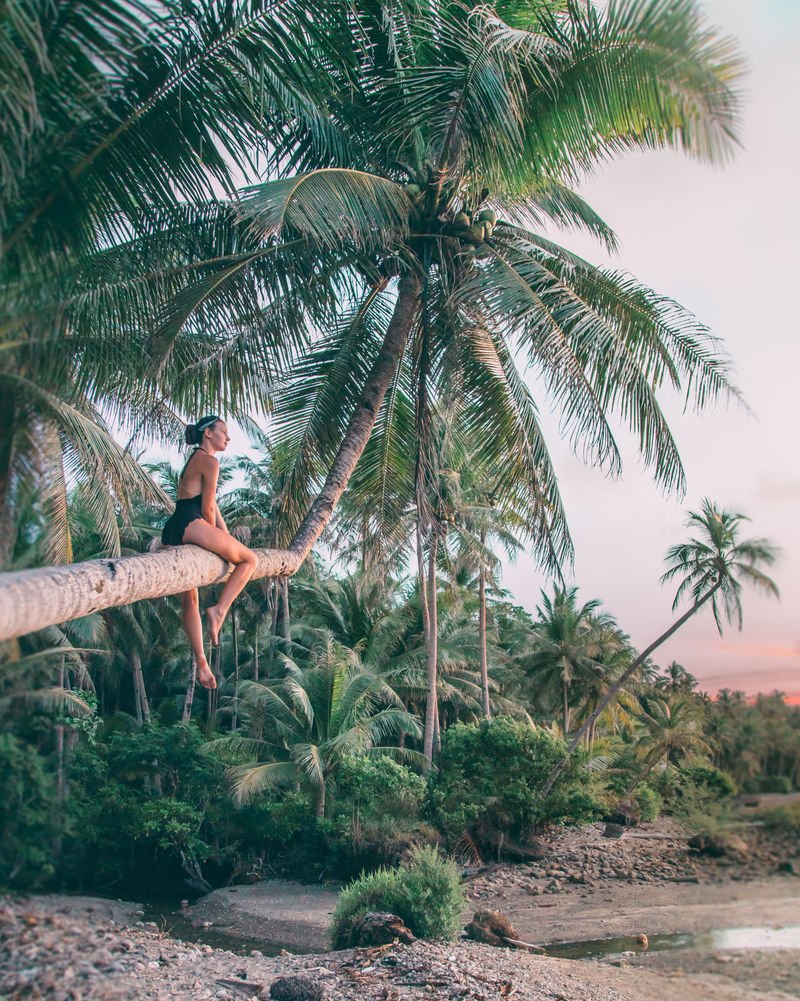 黄金时段坐在椰子树上的女人