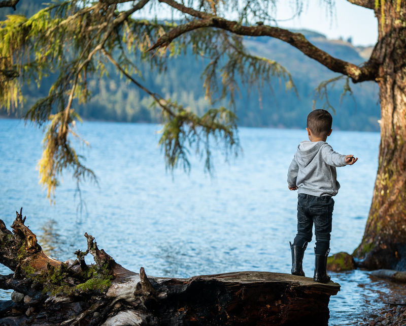 男孩站在高树下靠近海水的岩石上