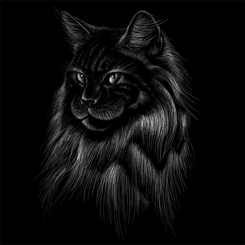 矢量标志的Mutt猫纹身或T恤设计或外观-可爱的猫图案背景