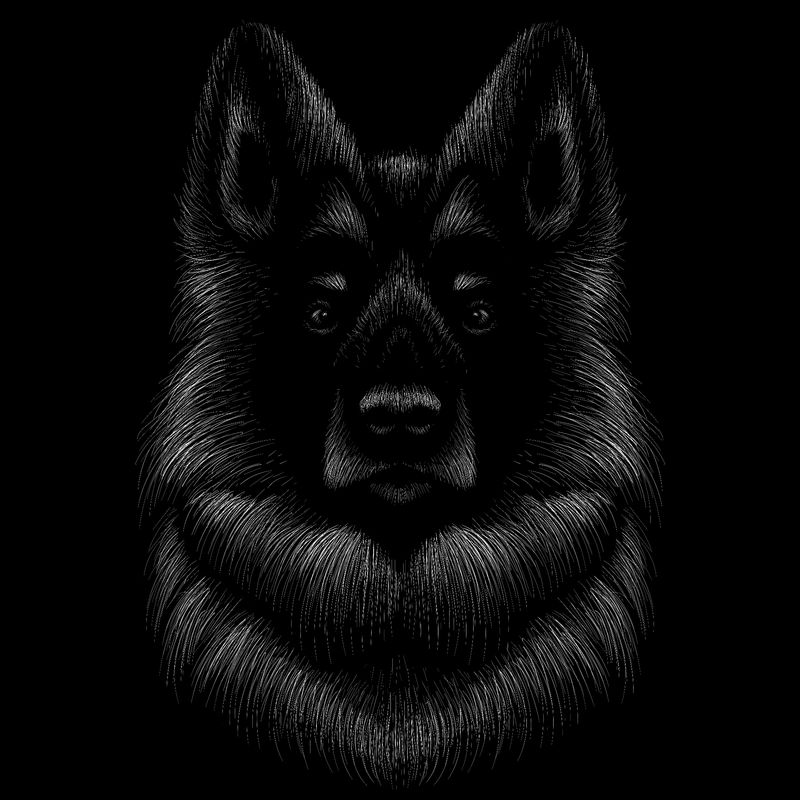 矢量标志狗或狼纹身或T恤设计或外观-可爱的狗或狼图案背景-这幅画很适合在黑色织物或帆布上画