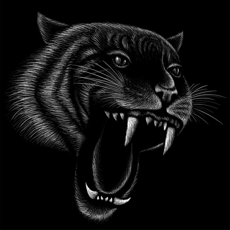 矢量标志老虎纹身或T恤设计或外观-狩猎风格老虎猫背景