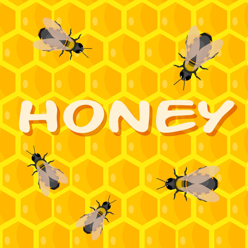 蜜蜂在蜂巢里放蜂蜜。卡通风格。矢量图示