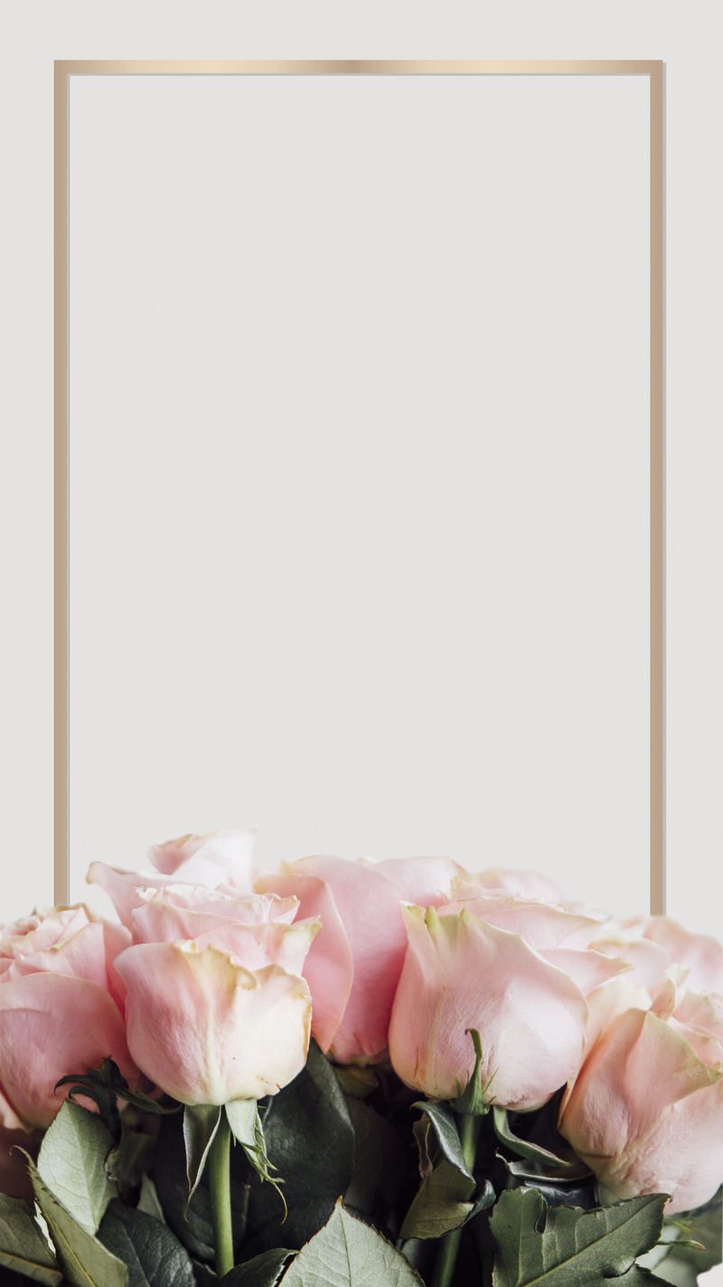 带浅粉色玫瑰手机壁纸的相框