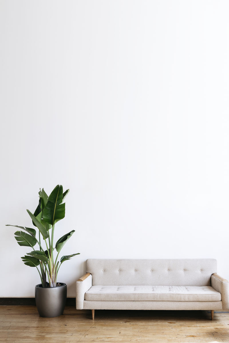 现代米色织物沙发和客厅植物