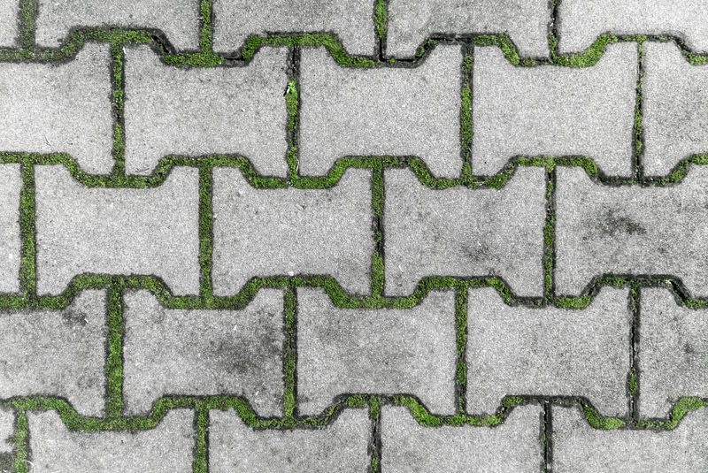 有苔藓的街砖