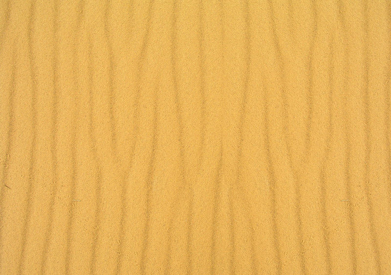 沙的纹理