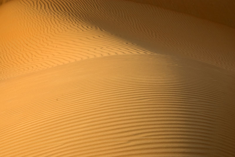 阿布扎比沙漠