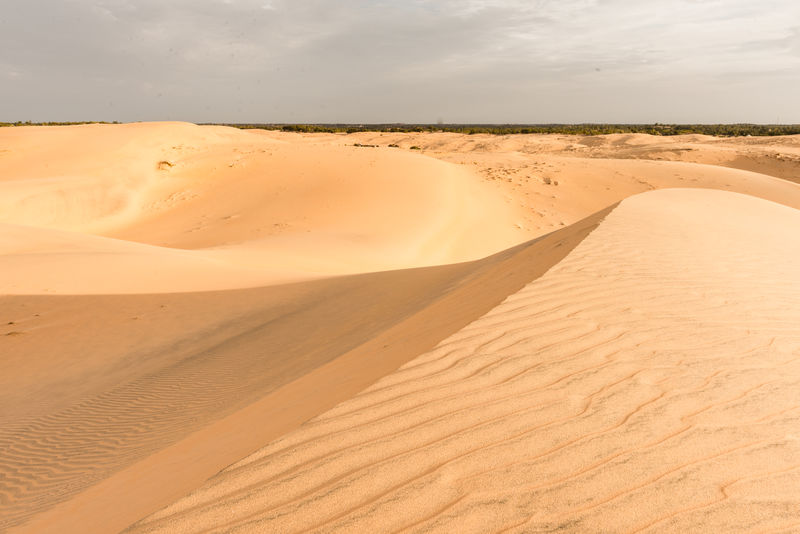 Sahara沙漠