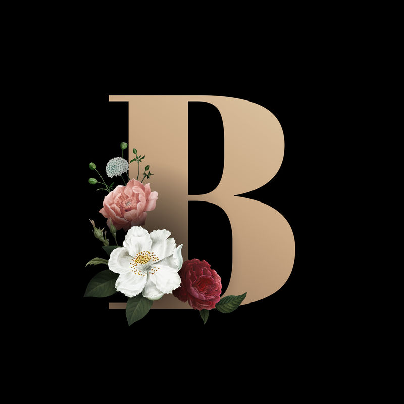 经典优雅的花卉字母字体字母B vector