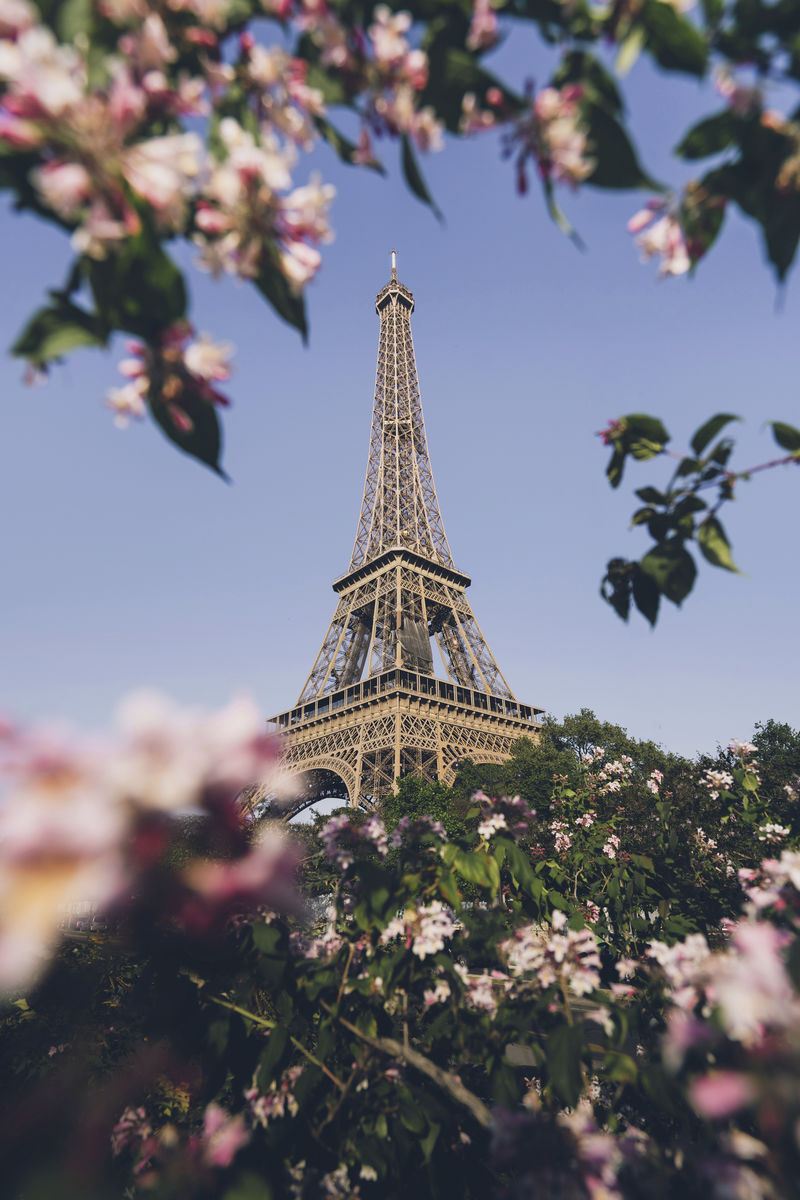 法国巴黎马尔斯广场的埃菲尔铁塔