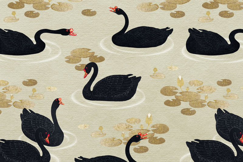 金色荷花图案的游泳黑雁在米色背景上的插图