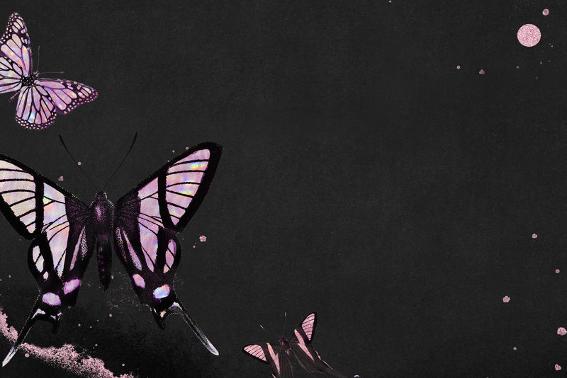 黑色背景上的粉红色全息蝴蝶