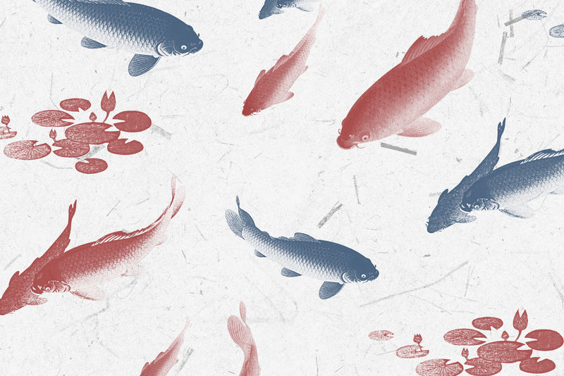蓝色和红色锦鲤鱼图案背景插图