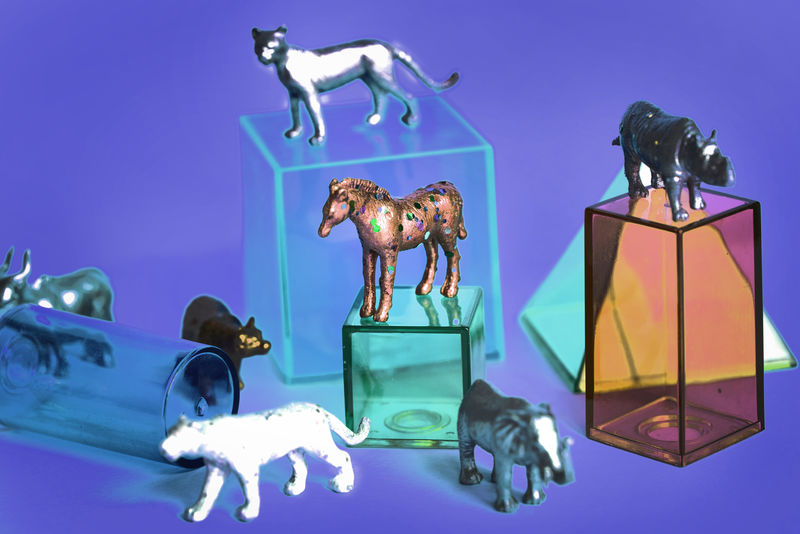 五颜六色的背景下各种带盒子的动物玩具人偶