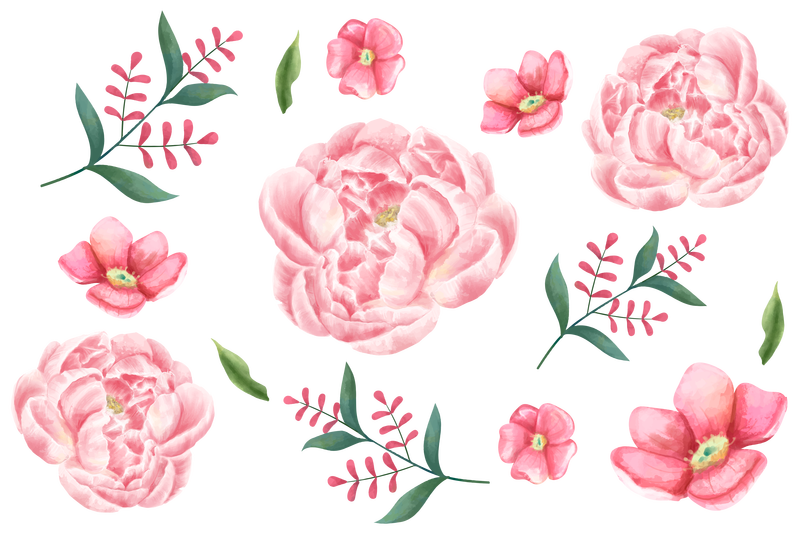 彩绘粉色花朵png贴纸水彩画剪贴套装