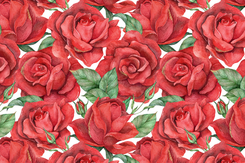 红玫瑰图案png透明背景
